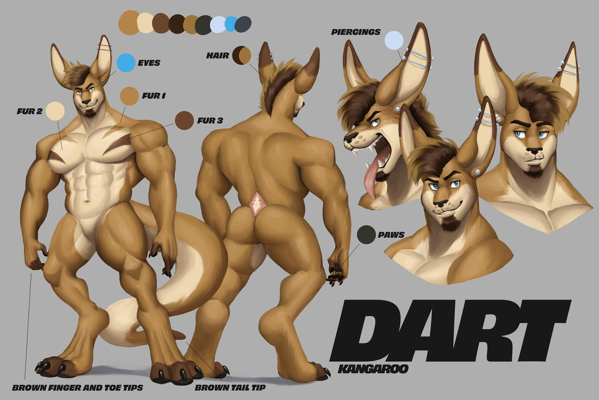 Commission for DartDaroo