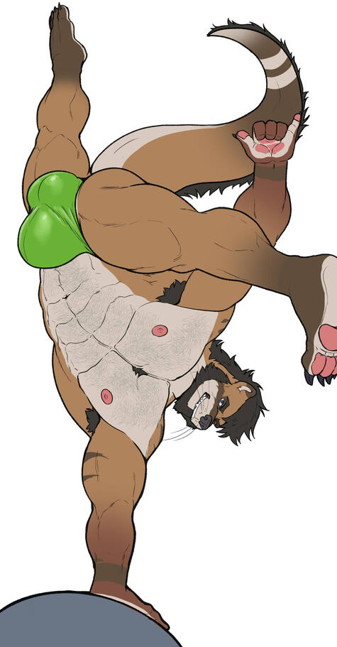 Commission for Avalanch3r